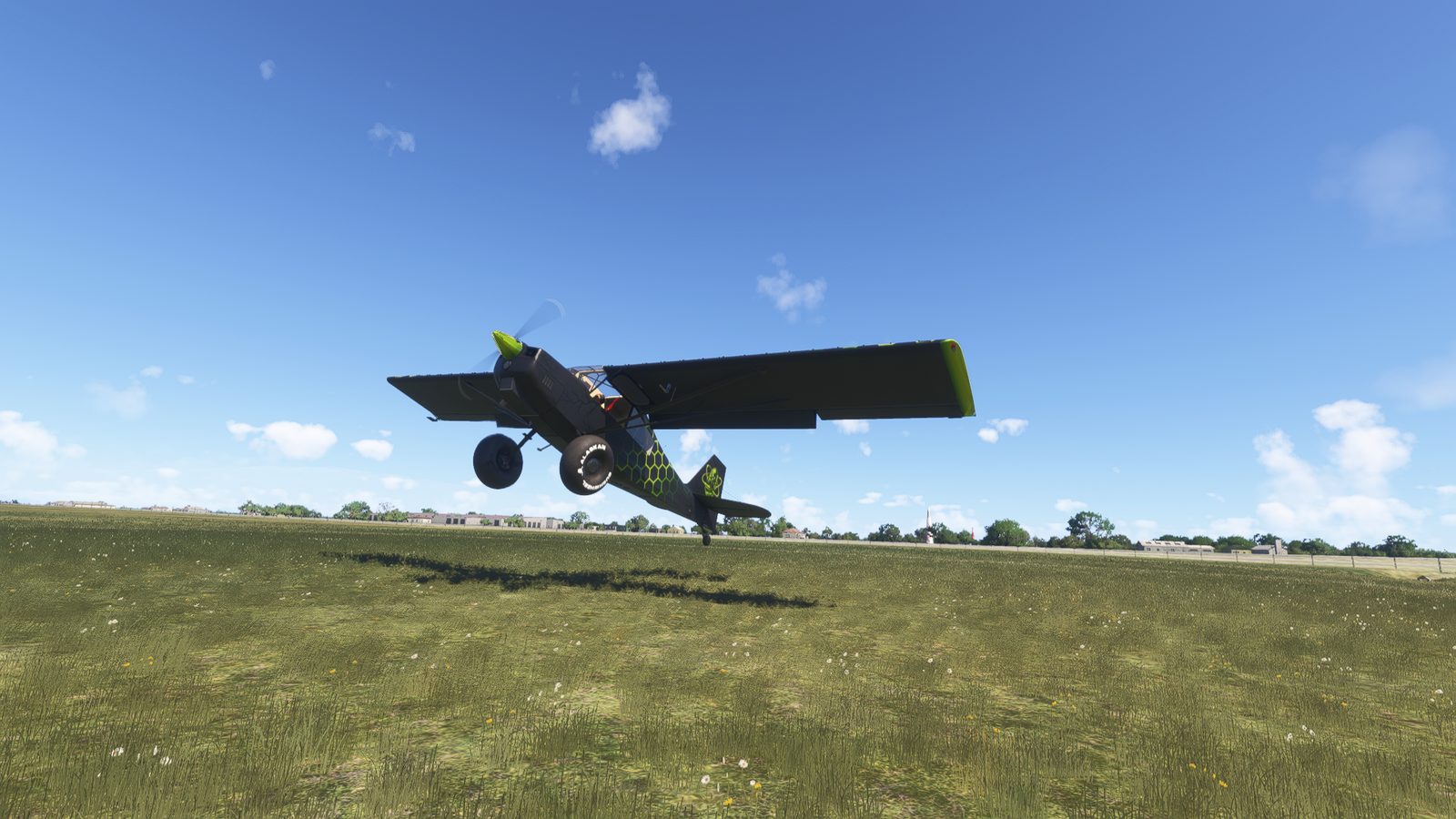 Trippy gallery photo 1