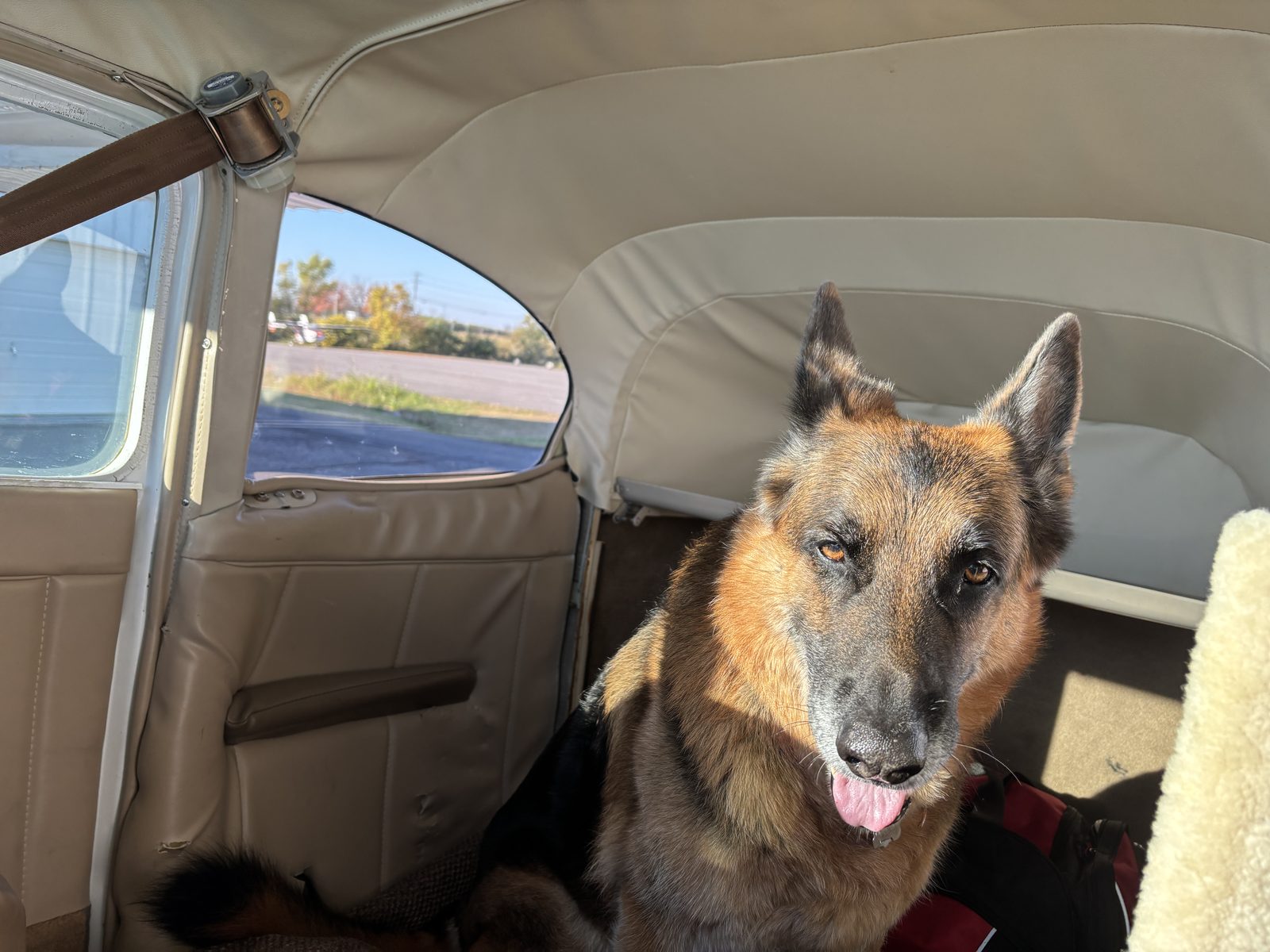 James Abbott gallery photo 6