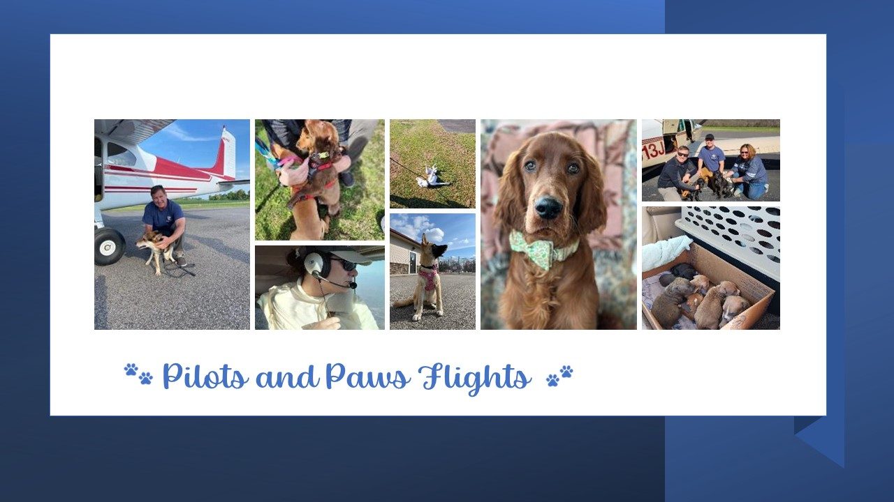 James Abbott gallery photo 7