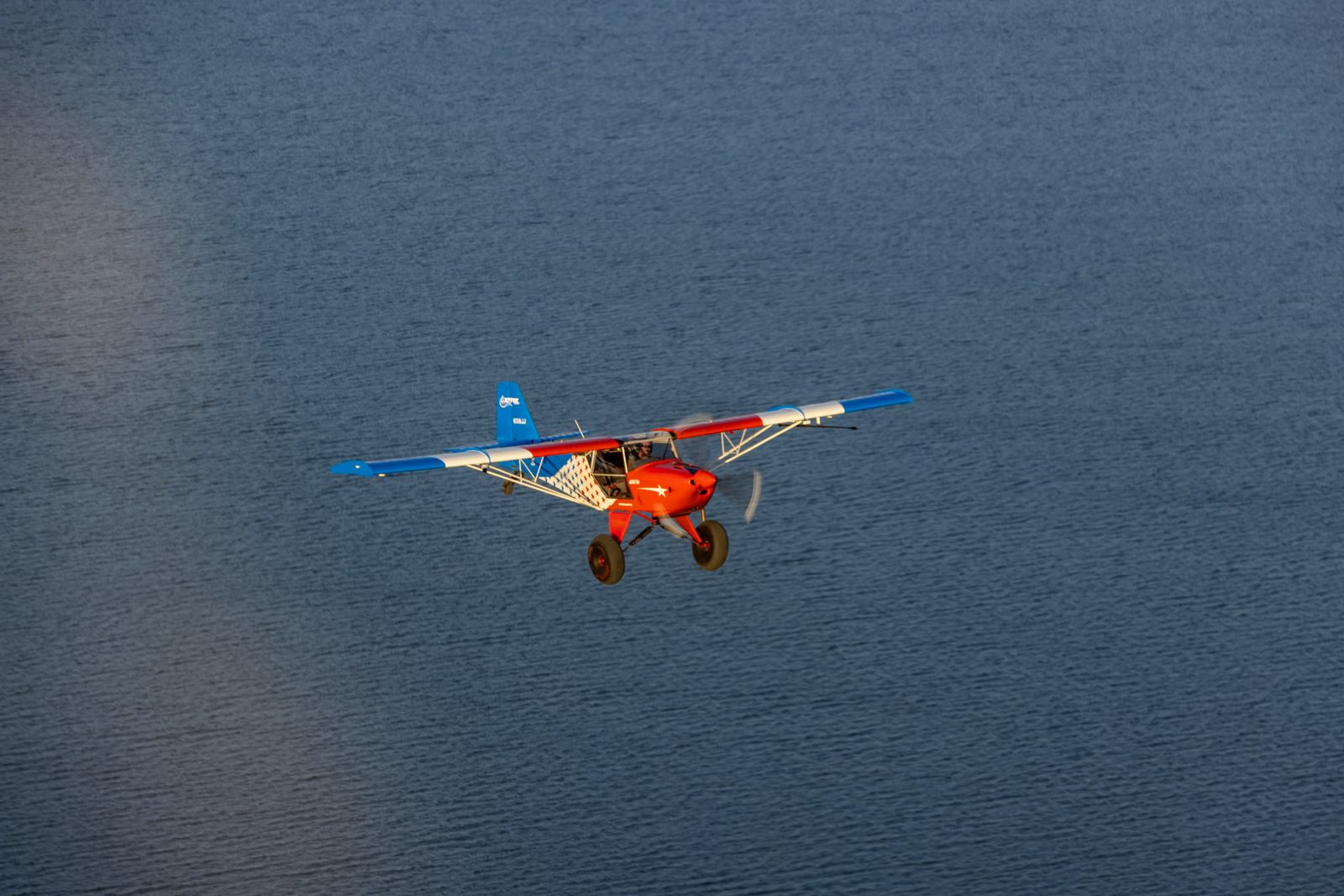 Dave Rowe gallery photo 2