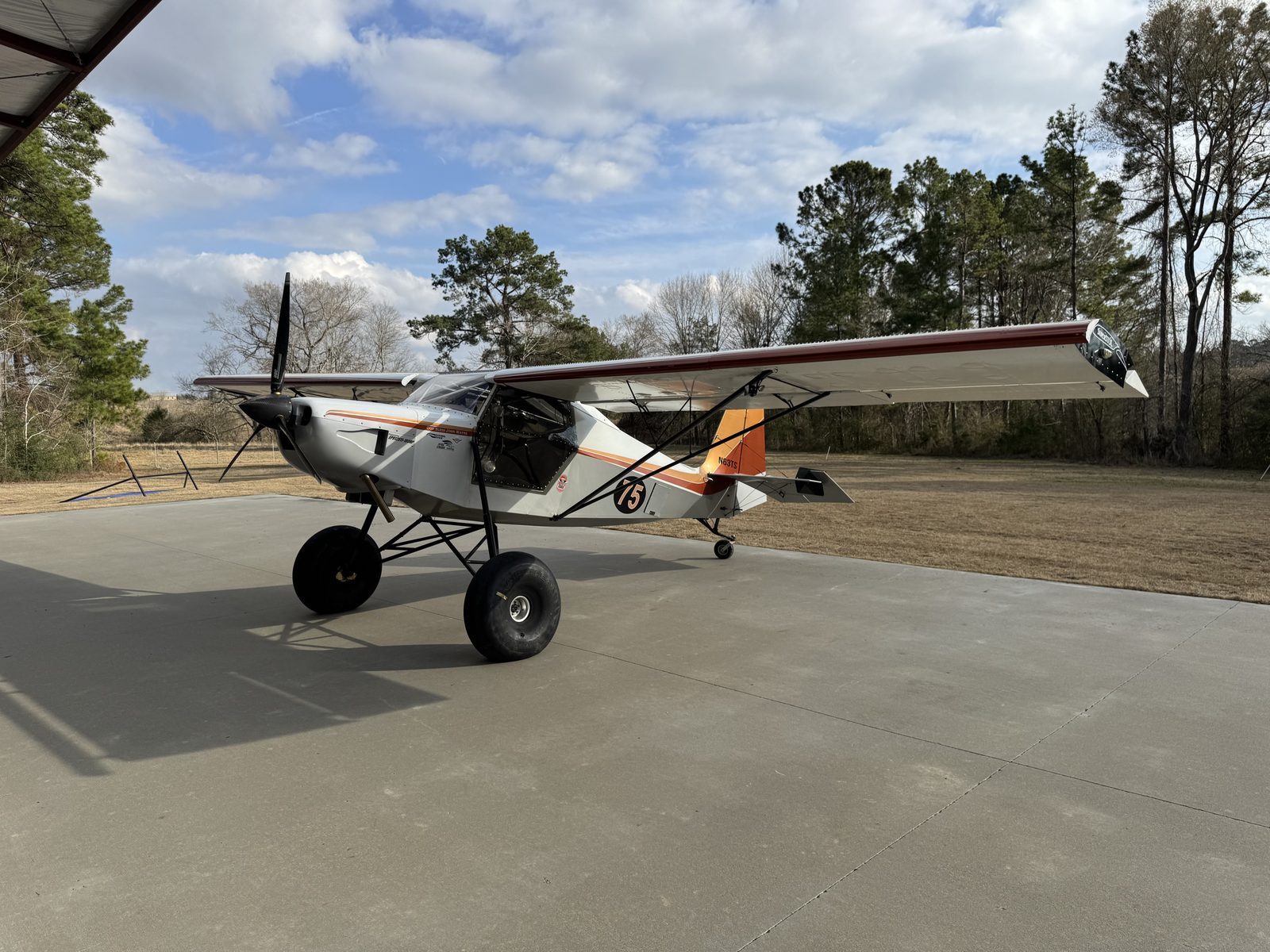 Anthony Sanches gallery photo 1