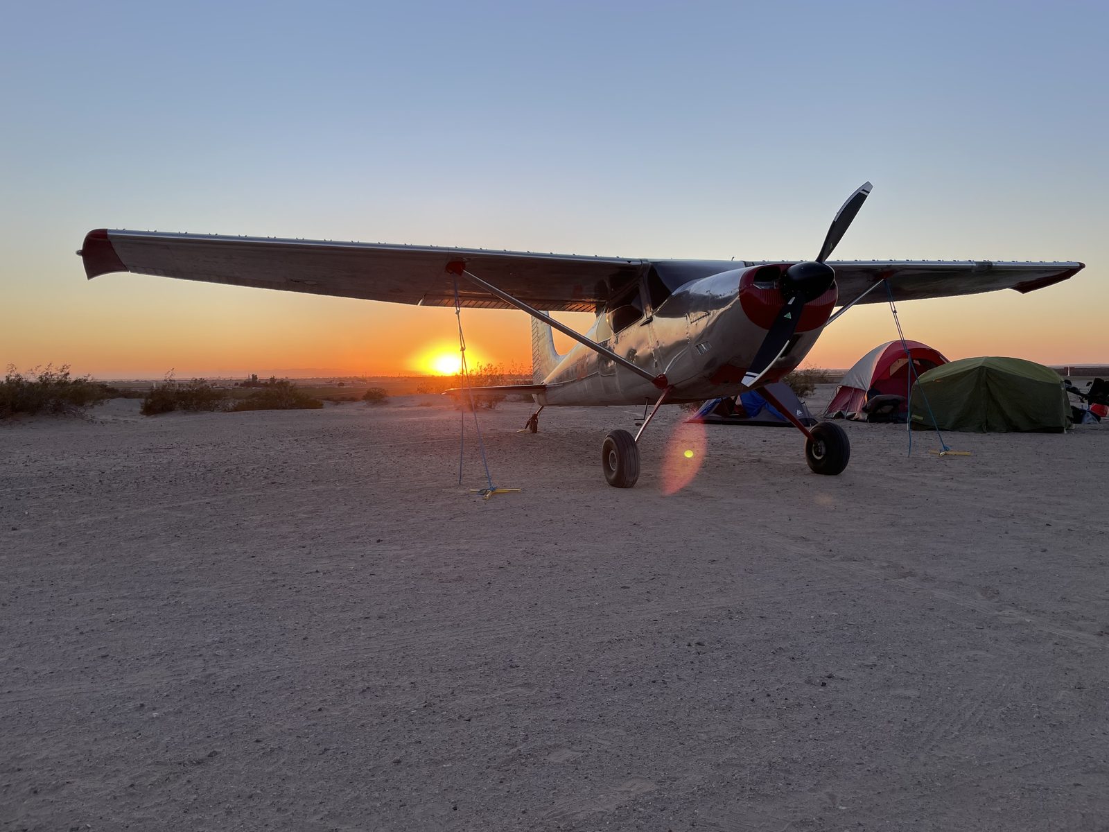 Don Mickey gallery photo 4